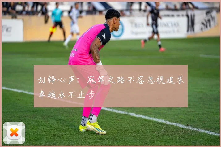 刘铮心声：冠军之路不容忽视追求卓越永不止步