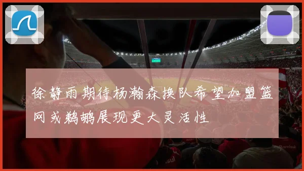 徐静雨期待杨瀚森换队希望加盟篮网或鹈鹕展现更大灵活性